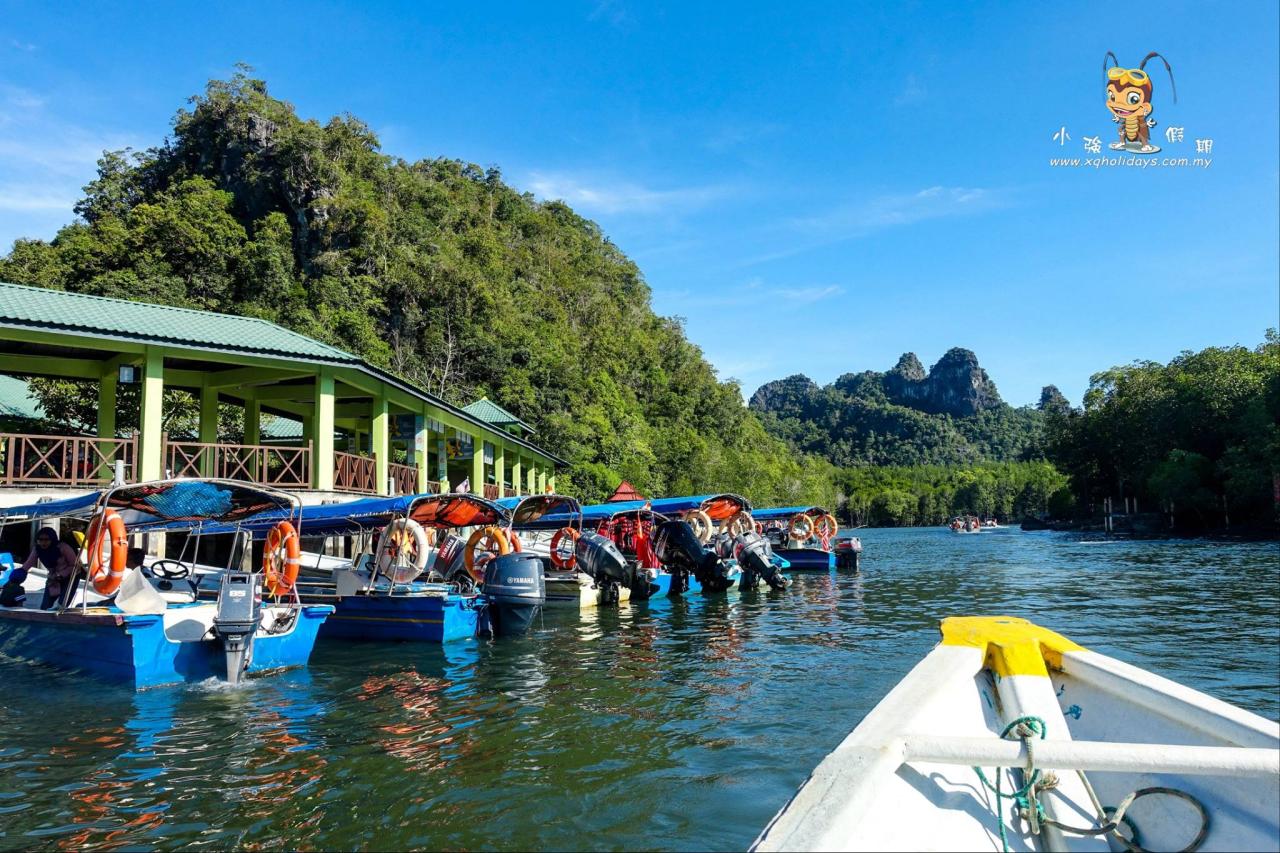 Jelajahi Mangrove Langkawi, Surga Ekosistem Bahari yang Eksotis